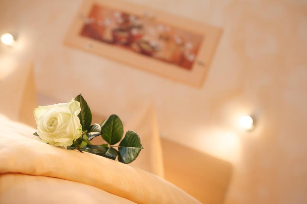 Hotel Mediterraneo Neustadt an der Weinstraße Szoba fotó
